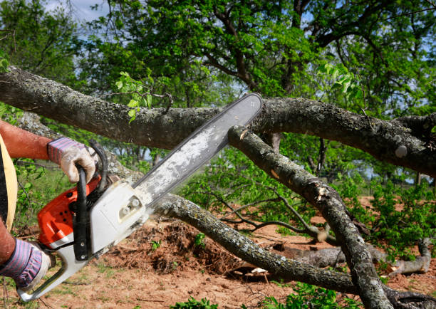 Soil Testing and Treatment in Rocky Point, NC